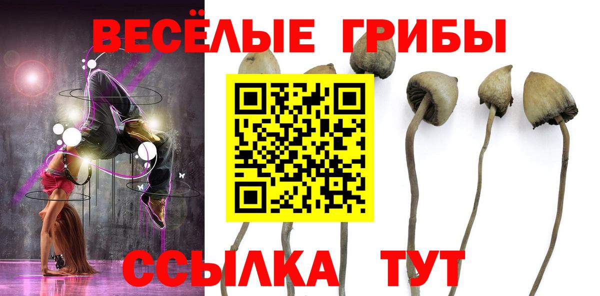 цены   Вход с VPN  Щёлково  Псилоцибиновые грибы Magic Shrooms 